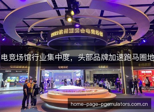 电竞场馆行业集中度,头部品牌加速跑马圈地 电竞场馆行业集中度,头部品牌加速跑马圈地